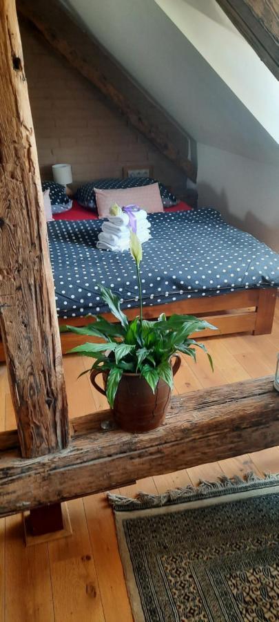 Penzion-Apartman U Johana Moravská Třebová المظهر الخارجي الصورة