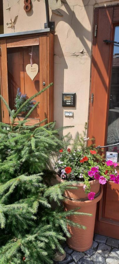 Penzion-Apartman U Johana Moravská Třebová المظهر الخارجي الصورة